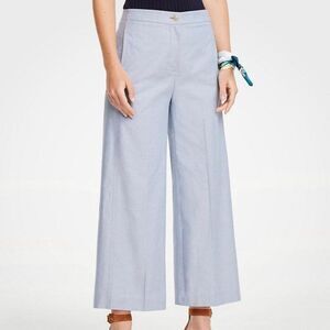 ANN TAYLOR Wide Leg Crop Pants Sz 10 Marina Culottes Light Blue